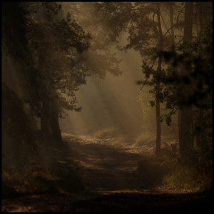 Album Time from RuKo