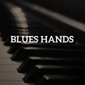 Luca Sala的專輯Blues Hands