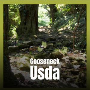 Album Gooseneck Usda from Various