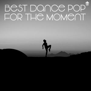 Various的专辑Best Dance Pop for the Moment