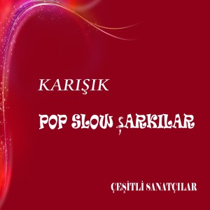 收聽Seçil Kılıç的Ne Diyeyim Ki歌詞歌曲