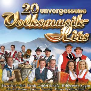 อัลบัม 20 unvergessliche Volksmusik-Hits ศิลปิน Various Artists