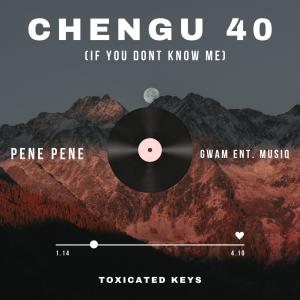 Toxicated Keys的專輯Chengu 40