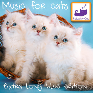 Dengarkan lagu Home Alone nyanyian RelaxMyCat dengan lirik