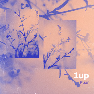 Listen to 1up song with lyrics from Puar