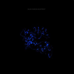 ดาวน์โหลดและฟังเพลง Elastic Plastic พร้อมเนื้อเพลงจาก Quasi Dub Development