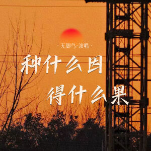 无脚鸟的专辑种什么因得什么果