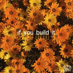 Album If You Build It from Kongos