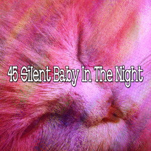 45 Silent Baby in the Night
