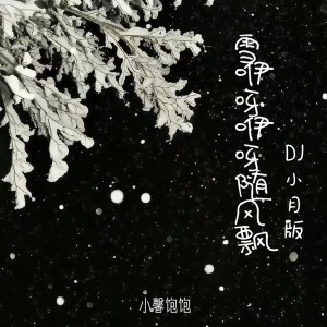 Dengarkan 雪咿呀咿呀随风飘 (DJ小月版) lagu dari 小馨饱饱 dengan lirik