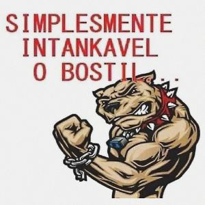 Album INTANKAVEL O BOSTIL from 