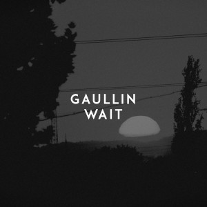 ดาวน์โหลดและฟังเพลง Wait พร้อมเนื้อเพลงจาก Gaullin