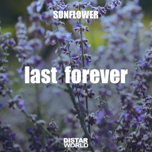 Album Last Forever oleh Sunflower
