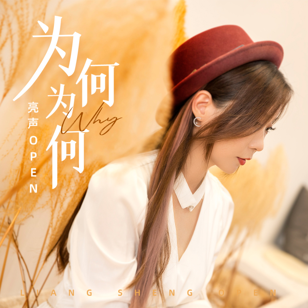 为何为何 (DJ九零版伴奏)