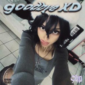 ดาวน์โหลดและฟังเพลง goodbye XD (Explicit) พร้อมเนื้อเพลงจาก Laybrday
