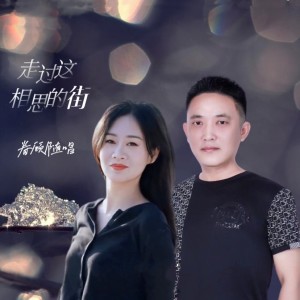 收听眷顾的走过这相思的街 (完整版)歌词歌曲