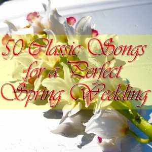 收聽Classical Wedding Music Experts的Canon in D歌詞歌曲