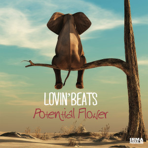 Lovin' Beats的專輯Potential Flower