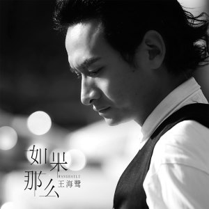 Album 如果 那么 from 王海鹭