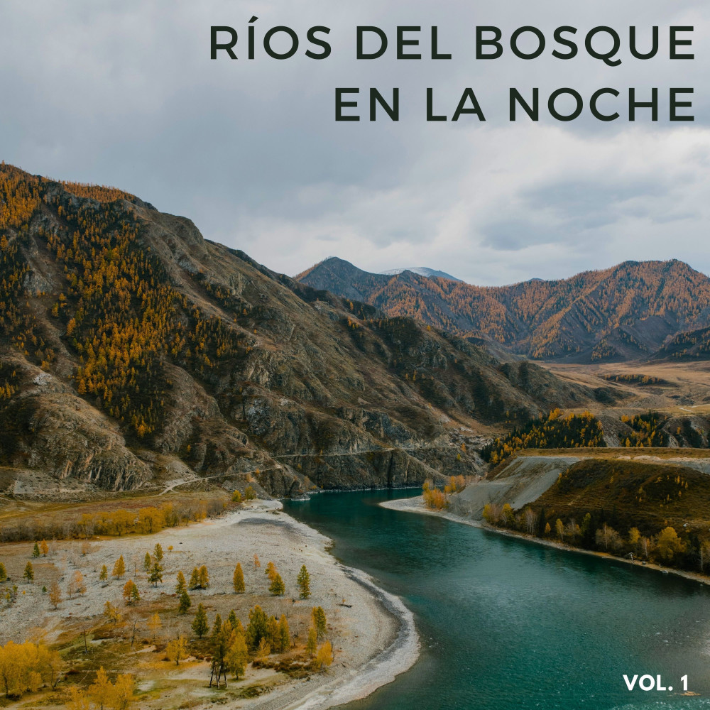 Flujo De Agua Que Fluye