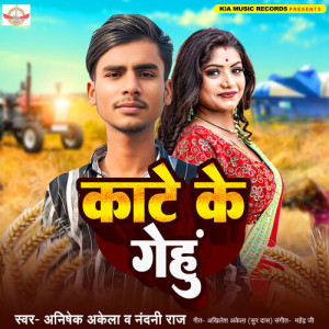 Listen to Kate Ke Gehu song with lyrics from Anishek Akela
