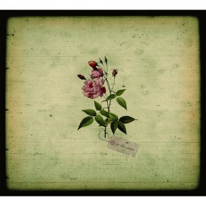 ดาวน์โหลดและฟังเพลง On the Table พร้อมเนื้อเพลงจาก In The Pines