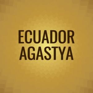 Various Artists的專輯Ecuador Agastya