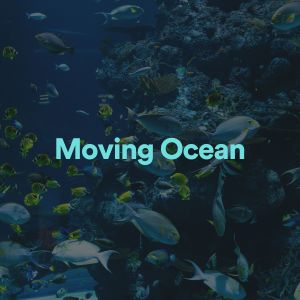 Album Moving Ocean from Ocean Sounds