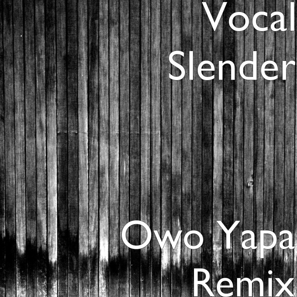 Owo Yapa Remix (其他)