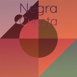 Various Artists的專輯Negra Cuesta