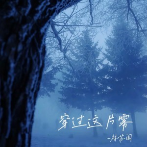 Album 穿过这片雾 from 林苏闻