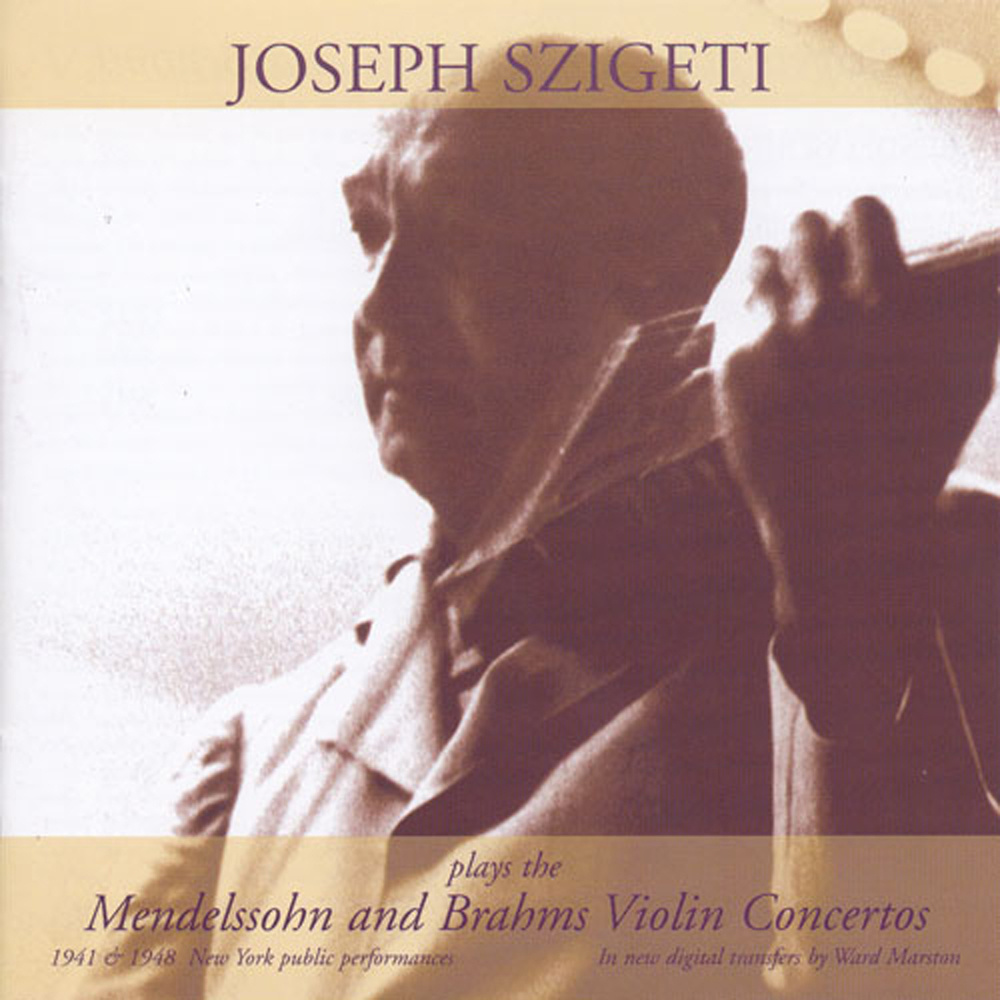III. Allegretto non troppo - Allegro molto vivace