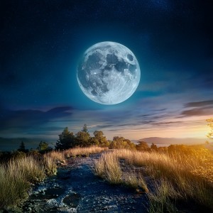 Dormir en el Avion的專輯Música Para Una Noche De Sueño En Quietud