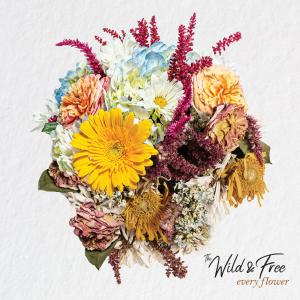 ดาวน์โหลดและฟังเพลง Let You Go พร้อมเนื้อเพลงจาก The Wild