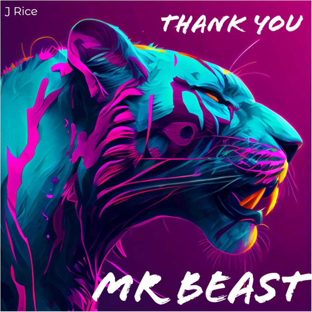 Thank You Mr Beast