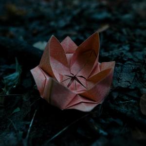 收聽Paks的cvet歌詞歌曲