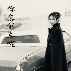 丸子西的专辑你怎能忘呢