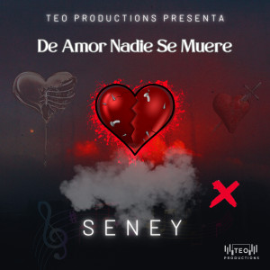 收聽Seney Music的De Amor Nadie Se Muere歌詞歌曲