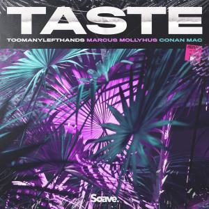 Listen to Taste song with lyrics from TooManyLeftHands