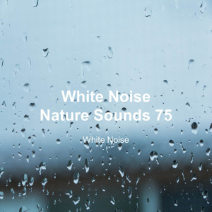 White Noise的专辑White Noise 75 (Rain Sounds, Bonfire Sound, Baby Sleep, Deep Sleep)