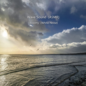Dengarkan Wave Sound ASMR (Nature Sound) lagu dari J.Roomy dengan lirik