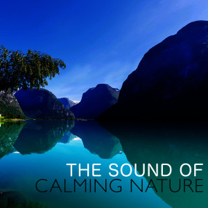 收聽Nature Sound Series的Wetland Birds歌詞歌曲
