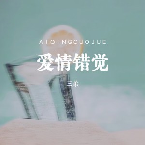 Album 爱情错觉 from 三弟