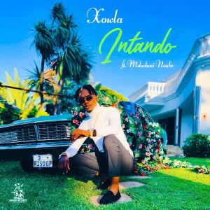 Listen to Intando song with lyrics from XOWLA