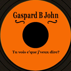 Album Tu vois c'que j'veux dire from Gaspard B John