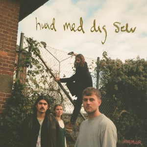 收聽Rigmor的Træ歌詞歌曲