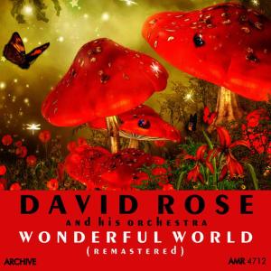 อัลบัม Wonderful World (Remastered) ศิลปิน David Rose & His Orchestra