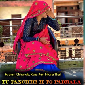 收听Hetram Chhareda的Tu Panchhi H To Padbala歌词歌曲