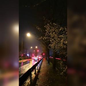 收聽Mehmet Toprak的Lele Xezal (feat. Efecan ) (Explicit)歌詞歌曲