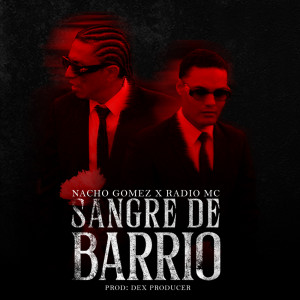 ดาวน์โหลดและฟังเพลง Sangre De Barrio พร้อมเนื้อเพลงจาก Nacho Gomez